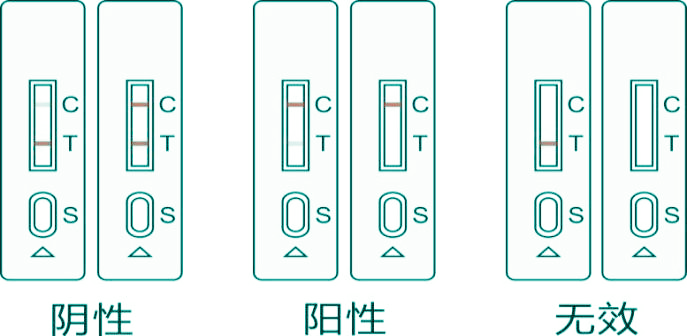 “瘦肉精”速檢測(cè)卡結(jié)果判讀